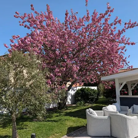 Maisonette Sur Le Bassin! * Lanton